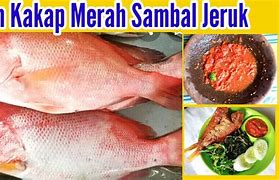 Ikan Salem Enaknya Dimasak Apa